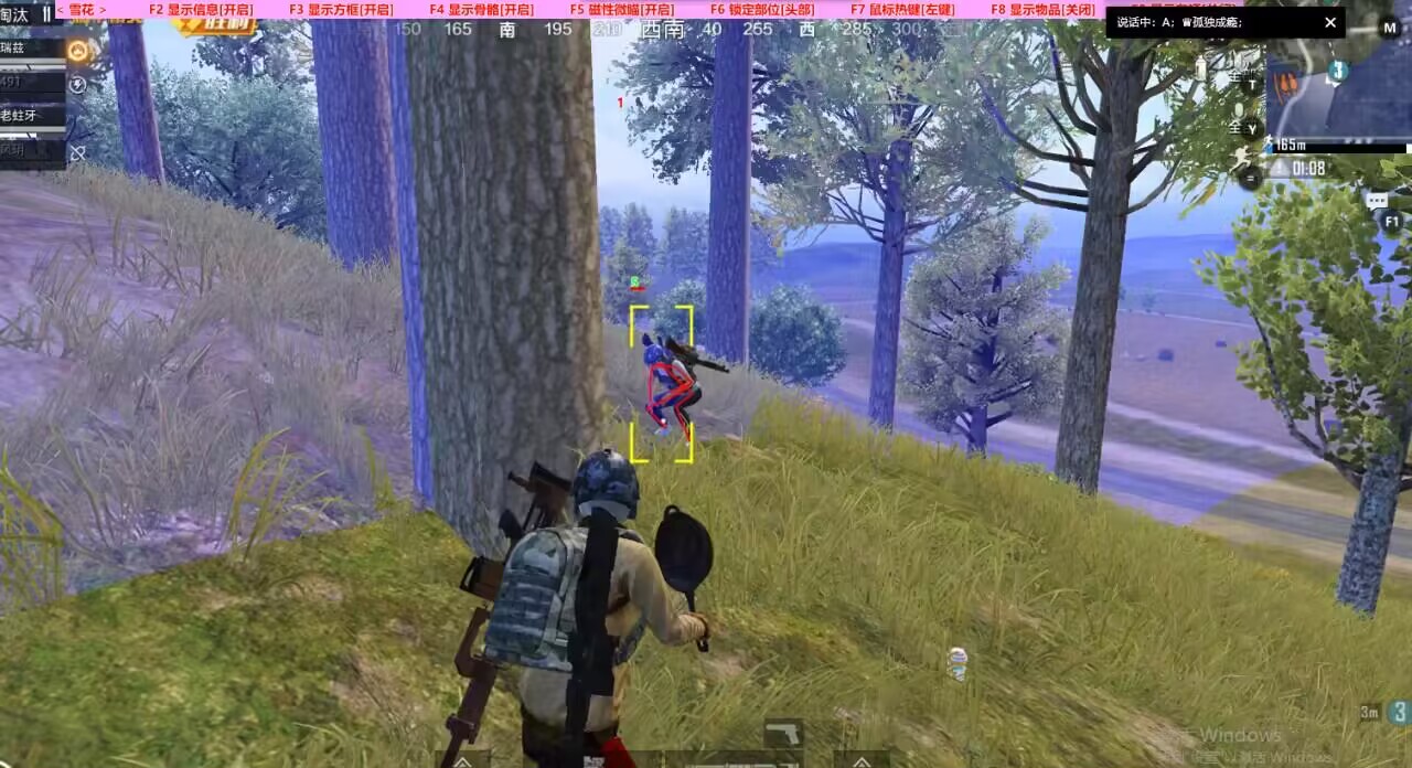 和平精英「小提琴」直装辅助